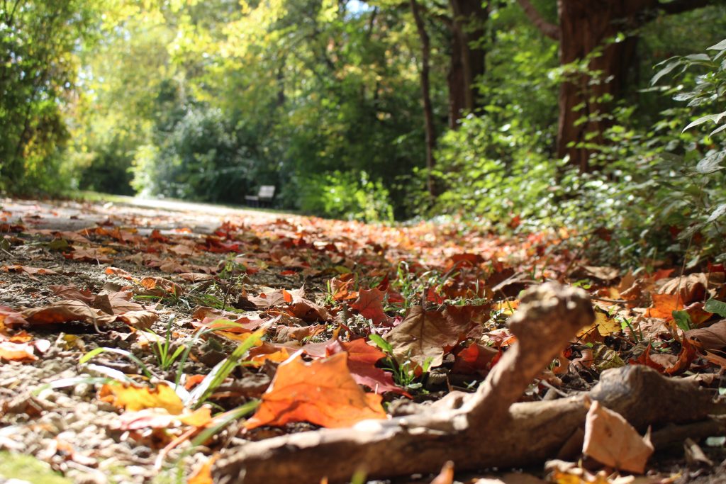 Northern Ohio, October 2019. Jill Kemerer.