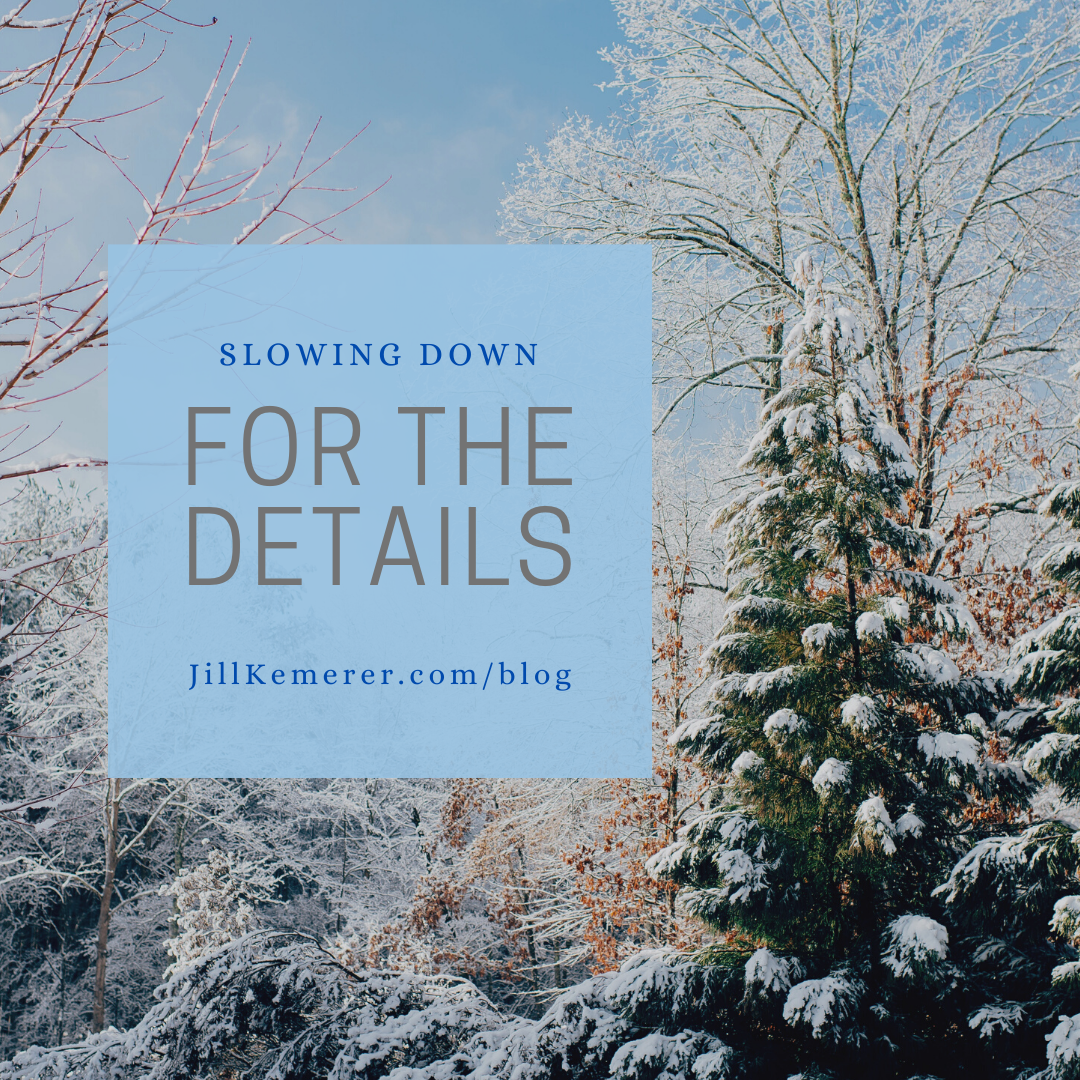 Slowing Down for the Details, Jill Kemerer