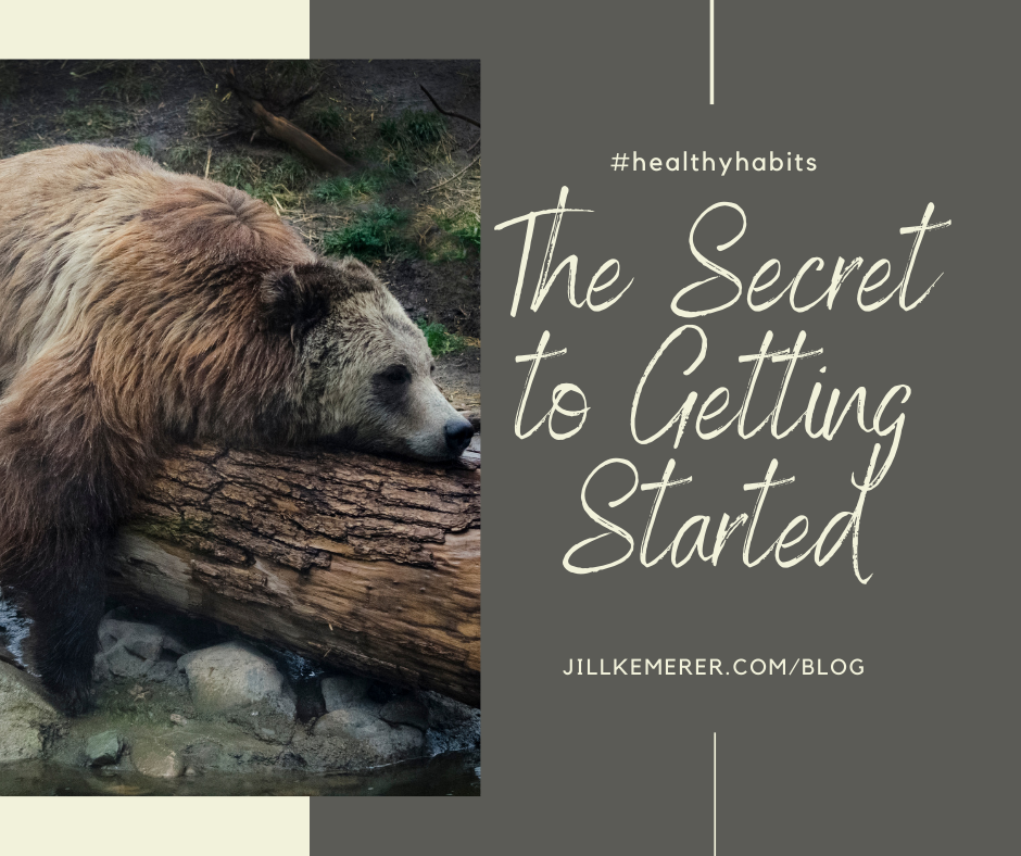 The Secret to Getting Started by Jill Kemerer author