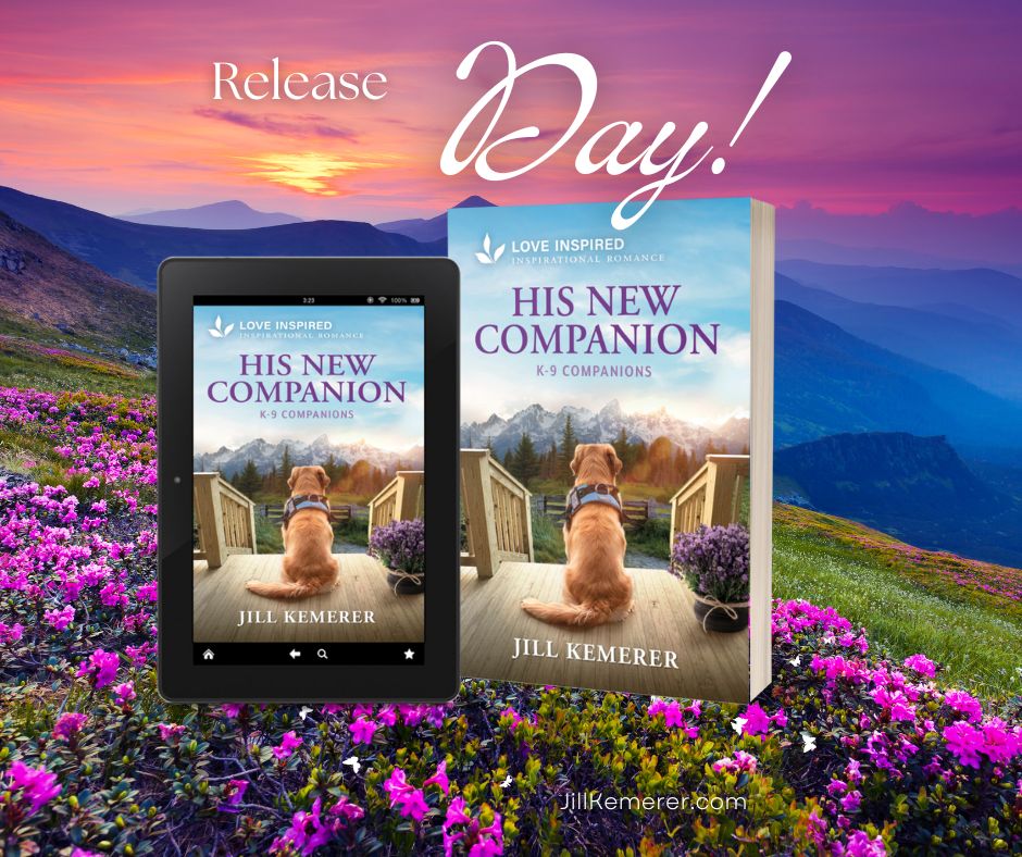Pink sky, blue mountains and purple wildflowers. Cover of His New Companion by Jil Kemerer