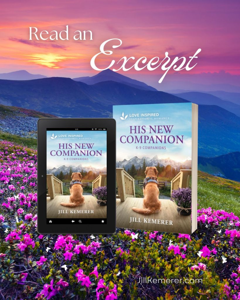 Sunset over mountains with purple wildflowers. Cover of His New Companion by Jill Kemerer. Read an Excerpt.