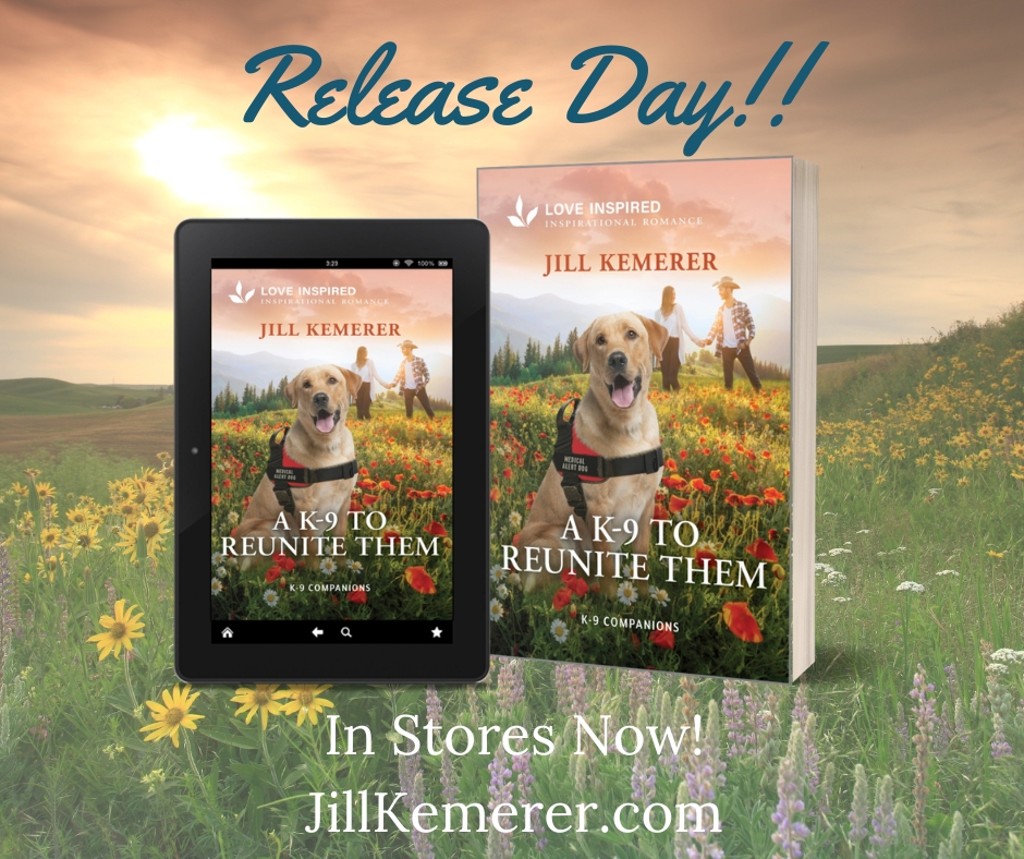 Release Day! A K-9 to Reunite Them by Jill Kemerer. Prairie background with wildflowers and book cover